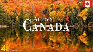 Autumn Canada 4K Ultra HD • Enchanting Autumn Canada, Scenic Relaxation Film with Calming Music.