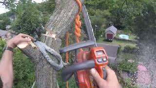 Tree work - turn it up