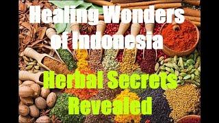 Brewing Tradition - Inside an Indonesian Herbal Kitchen | Pure Holistic Harmony