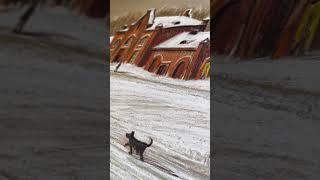 Насосная станция в Семее
