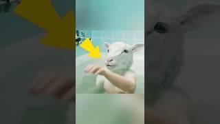 Half human half goat... #shorts #movie #viral