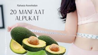 Manfaat alpukat untuk kesehatan dan  manfaat alpukat untuk diet