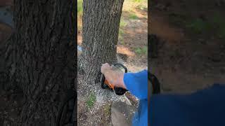 Is the Stihl MS500i the BEST Chainsaw on the market? 