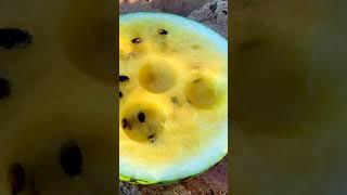 #Shorts Yellow Watermelon Scooping | Say Satisfying 236