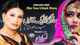 Mar Gae Udeek Menu Mera Dhola Nai Aya Punjabi Sad Song Naseebo lal