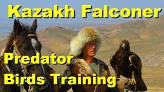 Kazakh falconer / Predator Birds Training