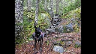 Prepping for a hike in Maine's 100 Mile Wilderness