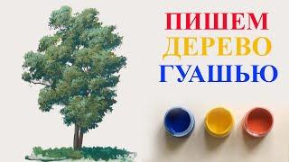 Уроки рисования. Как рисовать дерево гуашью. Пишем дерево гуашью.