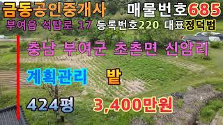 685 친환경 마을 안  밭 부여땅 부여부동산