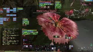 ArcheAge 8.0 / Нарко / Dask
