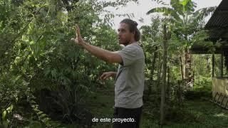 Tropical Permaculture Homestead: Case Study with Porvenir Design