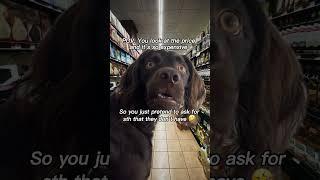#sparkwave #memes #funny #funnyvideo #shorts
