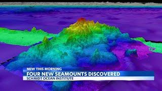 Four new seamounts have been discovered