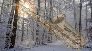 Снежная нежность... "Саксофон и снег". Музыка Андрея Обидина.  Andrei Obidin - Saxophone and snow