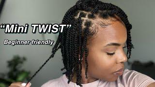 My Simple Mini Twist routine |Two-Strand Twist | Natural Hair | protective styles