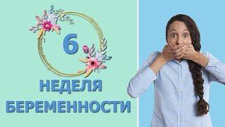 6 неделя беременности. Развитие плода и ощущения мамы