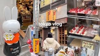 japan vlog  autumn in tokyo, asakusa sensoji temple, flower miffy, ginza, shopping streets, udon