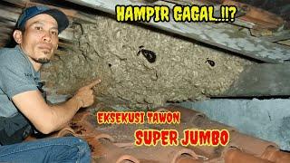 WASP EXECUTION..!! BONGKAR SARANG TAWON super JUMBO.. HAMPIR GAGAL..!!?