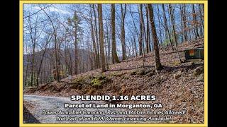 1.16 Acres - Ruby Gulch, Morganton, GA 30560