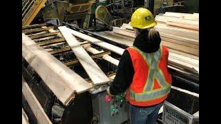 WEBINAR: WorkSafeBC - Working on Live Equipment Information