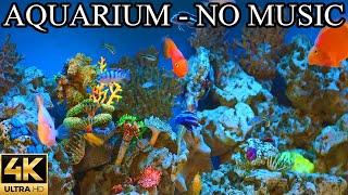AQUARIUM 4K Coral Reef 4K Aquarium NO Music NO Ads - 8 Hours | Aquarium Sounds For Sleeping