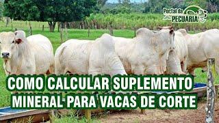 Como calcular suplemento mineral para vacas de corte