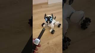 Робот собака Чип Wowwee - управление с браслета