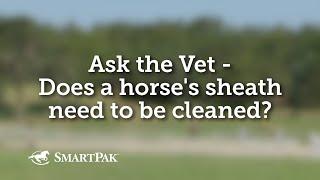 Ask the Vet - Does a horse's sheath need to be cleaned?