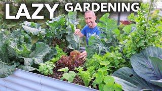 Companion Planting, the LAZY Way to Garden...