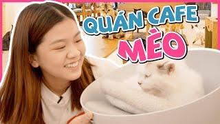 NHI REVIEW QUÁN CAFE MÈO | Ngày chủ nhật của Nhi