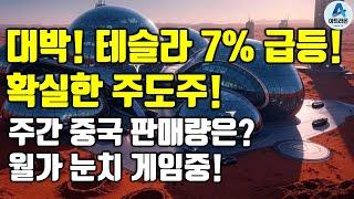 대박! 테슬라 7% 급등! 확실한 주도주! / 주간 중국 판매량은? / 월가 눈치 게임중!