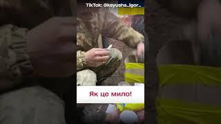  Нічого милішого ви не бачили! Кадри з фронту!