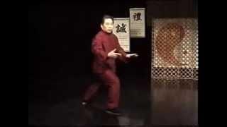 85 forms Fu Shengyuan Authentic Yang TaiChi