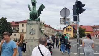 Ljubljana accordionist moves to Dragon Bridge