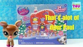 Littlest Pet Shop 2024 Advent Calendar Unboxing