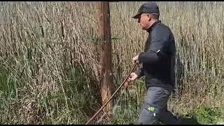 Tratamiento de larvas de mosquito con larvicidas.
