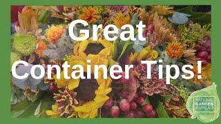 Fall Fantastic: Expert Fall Container Garden Tips with Joan from Ball Seed