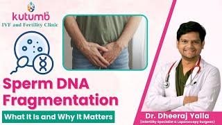 Sperm DNA Fragmentation: What It Is and Why It Matters | Kutumb IVF and Fertility Clinic