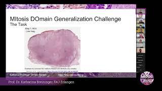 Mitosis Domain Generalization Challenge (MIDOG 2022) MICCAI Workshop (Full length)