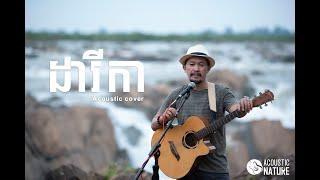 ដារីកា / Acoustic Nature cover