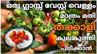 വേസ്റ്റ് വെള്ളം ഇനി തലവേദന ആകില്ല | Organic liquid fertilizer making | Prs krishi cultivation  tips