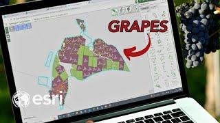 Revolutionizing The Wine Game: How GIS Impacts Sustainable Agriculture