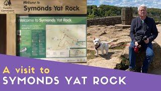 A Visit To Symonds Yat Rock - Amazing Views!