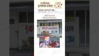 우당탕탕 뇌절 현수막 모음;;;#유머 #웃긴짤 #공감 #현수막 #광고