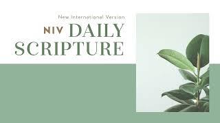 NIV Daily Scripture from Zondervan Bibles