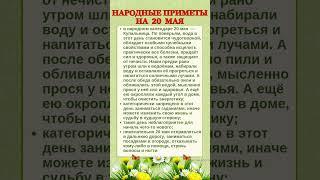 20 МАЯ - НАРОДНЫЕ ПРИМЕТЫ #shorts #эзотерика #приметы