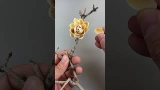 peanuts #handycraft #creativeart #diy #diyprojects