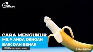 Mengukur Panjang Mr.P yang baik dan benar | Kelas Andrologi