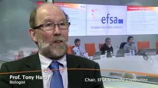 Join the EFSA Scientific Committee and Panels!