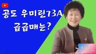 안성공도 우미린73A타입 급매로?